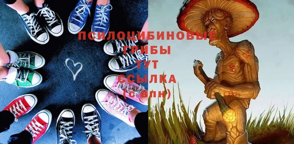 шишки Алексеевка