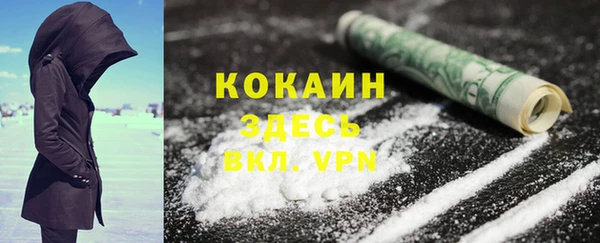 шишки Алексеевка